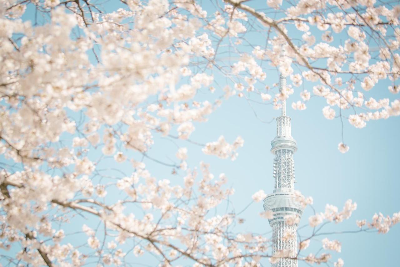 Hotel Apartment Ueno Inaricho Sta Tokio Zewnętrze zdjęcie